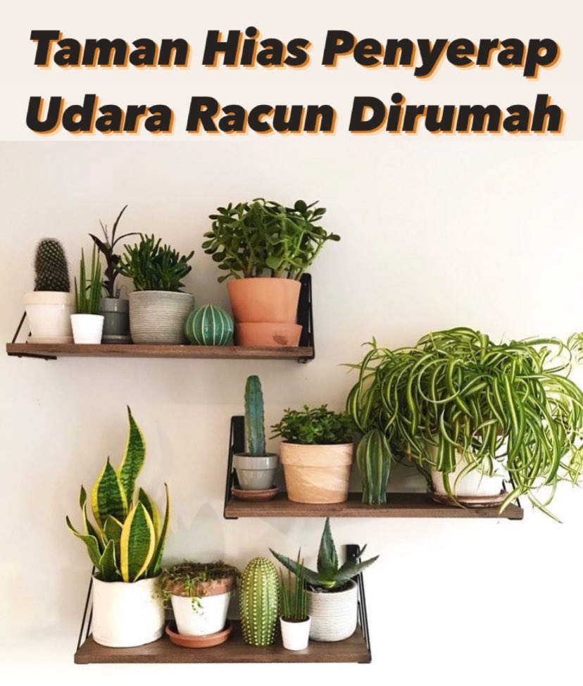 Save aja dulu siapa tau berguna!

Tag teman/sahabat/keluarga/pacar kamu biar tau!
—
A thread