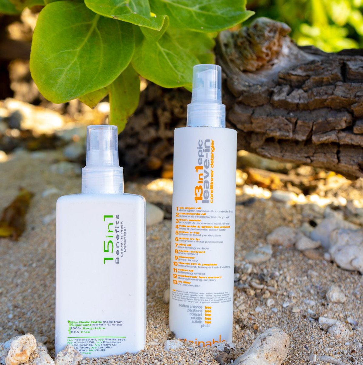 Fernanda Rabago tweet media