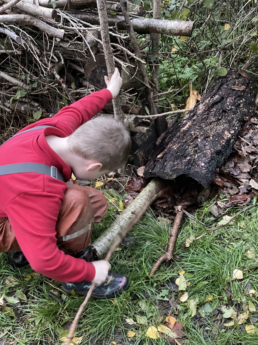 Grimes Dyke Primary School tweet media
