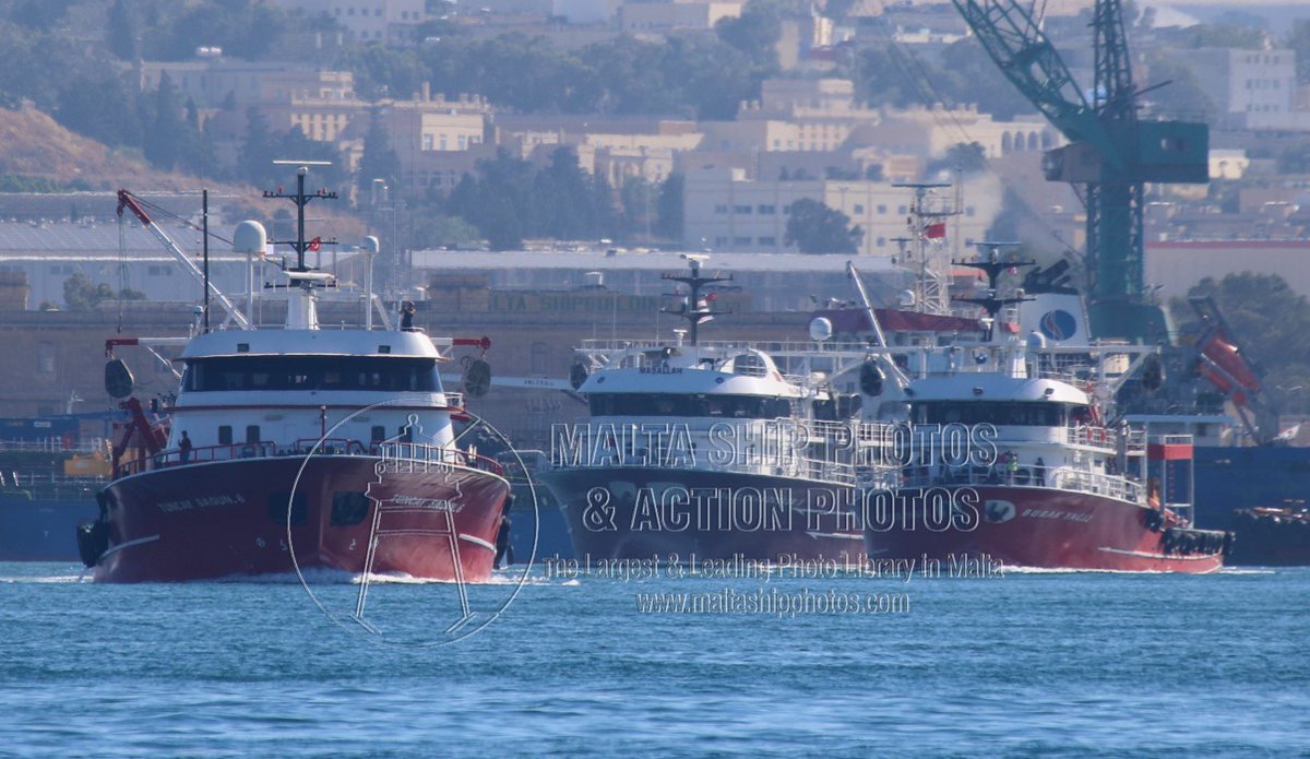 Shipguru's tweet photo. #Turkish #purseseiners #leaving #grandharbourmalta during #BFTseason2022 - 11.06.2022 - https://t.co/nfgboxtE7B - NO PHOTOS can be used or manipulated without our permission https://t.co/KLmkVCf6u4
