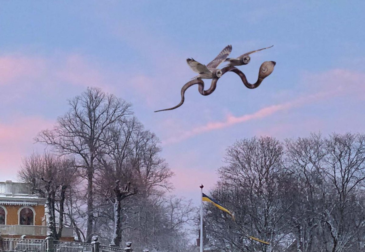 Farbrokado's tweet image. vad i helvete såg jag precis ute på djurgården?