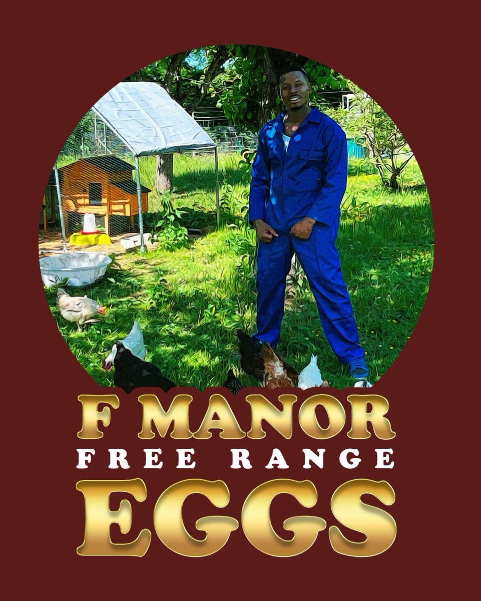 FekkyOfficial's tweet photo. Only eating my own eggs in the CC kitchen 😅🐓🐓🐓 #eggs #freerange 
Not for sale thoooo ⛔️ https://t.co/GaVOJSLDP9