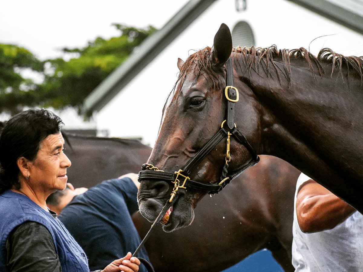 Flying Partners Racing tweet media