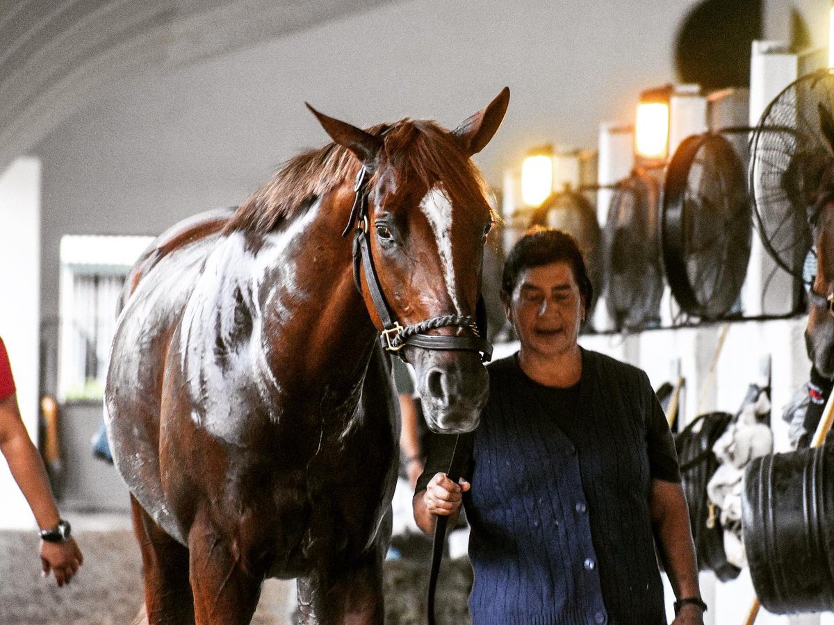 Flying Partners Racing tweet media