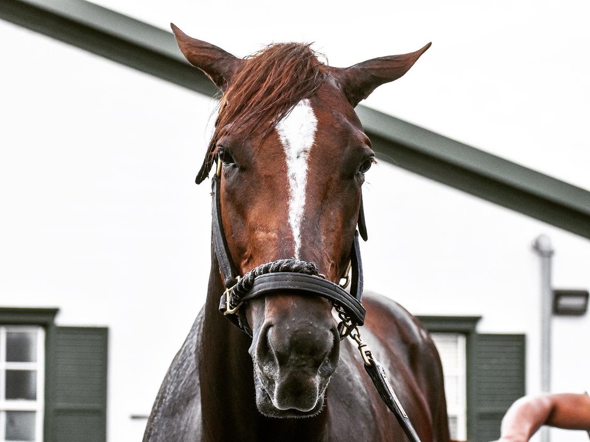 Flying Partners Racing tweet media