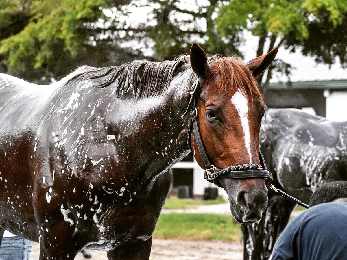 Flying Partners Racing tweet media