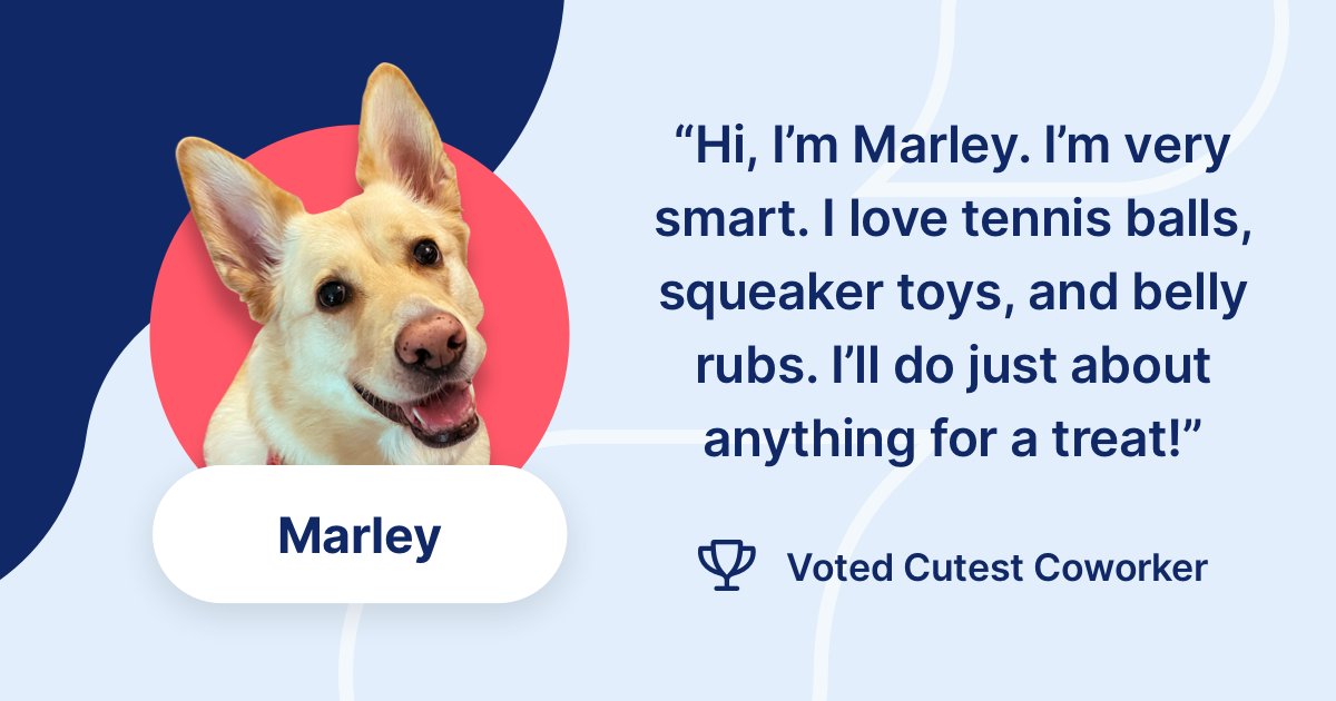 Say hello to our latest #SlickPet, Marley! Marley recently won the highly-coveted “Cutest Coworker” award, and we have to say: it’s-well deserved. 🐶🐾