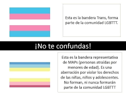 LilianCLucio's tweet photo. @poblanitabonita @sucesospuebla @SergioSalomonC @CongresoPue @Arqui_Puebla @FNxFamilia Es la bandera trans, para empezar esa porquería MAP ni siquiera está reconocida, pero de todos modos la supuesta bandera es diferente. Informate un poco. https://t.co/sLstoscvq3