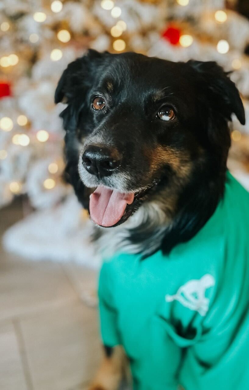 Woodworkers Source (@WoodwrkrsSource) / Twitter