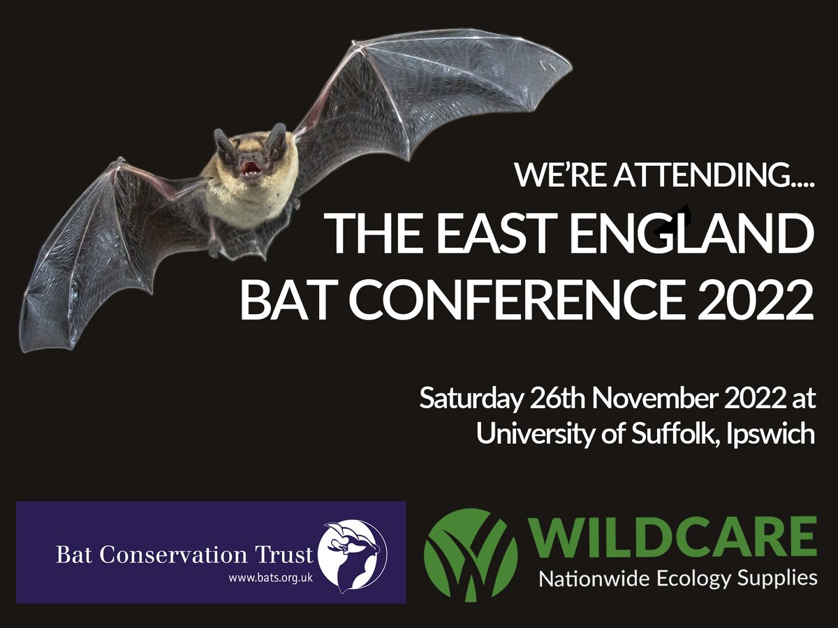 WildcareUK's tweet photo. We'll be at the East of England Bat Conference on Saturday 26th November, hosted by the @_BCT_
Will we see you there?
๐ฆ
#batconservationtrust #batconservation #bat #bats #lovebats #chiroptera #batworker #fieldwork #ecology https://t.co/aBbVvByFCf