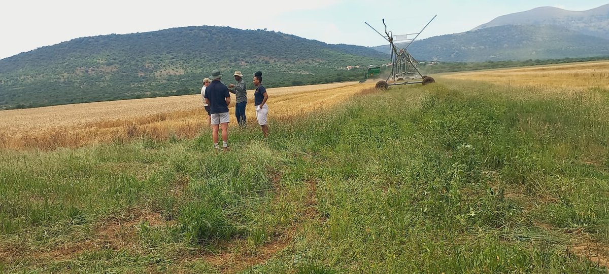 ModoP88's tweet photo. Scouting 🔭
#AfricanGirlChronicles 🌍
#SheOO 💅🏾
#AgriBusiness 🌾 https://t.co/8rko3u79ef