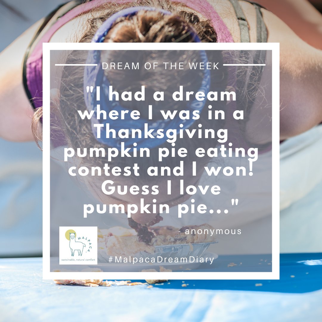 Now I want some #PumpkinPie! Who else is ready for #Thanksgiving??

Share your dream to be featured next week!

.
.
.
#MalpacaDreamDiary #dreams #sleep