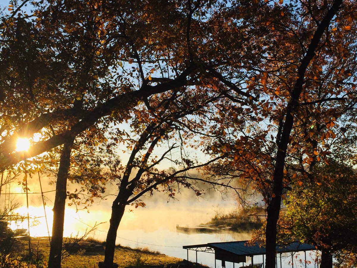 CBTSKansas's tweet photo. Check out the new blog post by Rev. Ruth Rosell, Ph.D., Director of the Buttry Center for Peace and Nonviolence - Gratitude for the Goodness of the Earth - https://t.co/U65JPf6qIH https://t.co/NmGOehv9a6