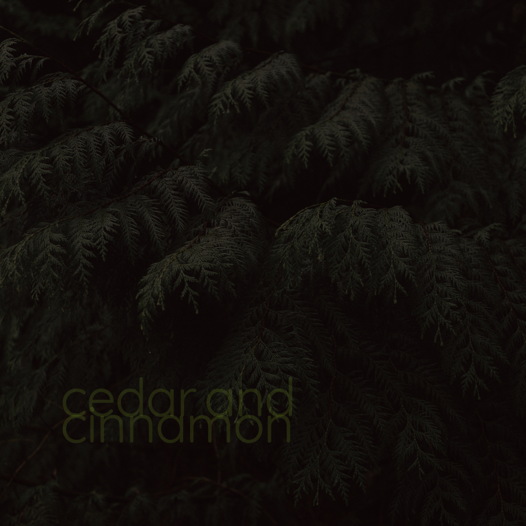 onceinamaybe's tweet image. cedar and cinnamon

tw: incest
makimai for #jjkrarepairweek day 2, a/b/o

inspired by lrt
archiveofourown.org/works/43213461