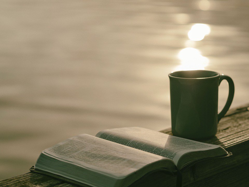 ruben_corella's tweet photo. #sunset #dusk #Twilight #sea #mer #tealover #tea #te #teatime #teabreack #reflexion #reflejos #puestadrsol #atardecer #book #booklover #books #relax #peaceful #lector #literatura #photo #WednesdayMotivation #friends https://t.co/lLJPFcXiHH