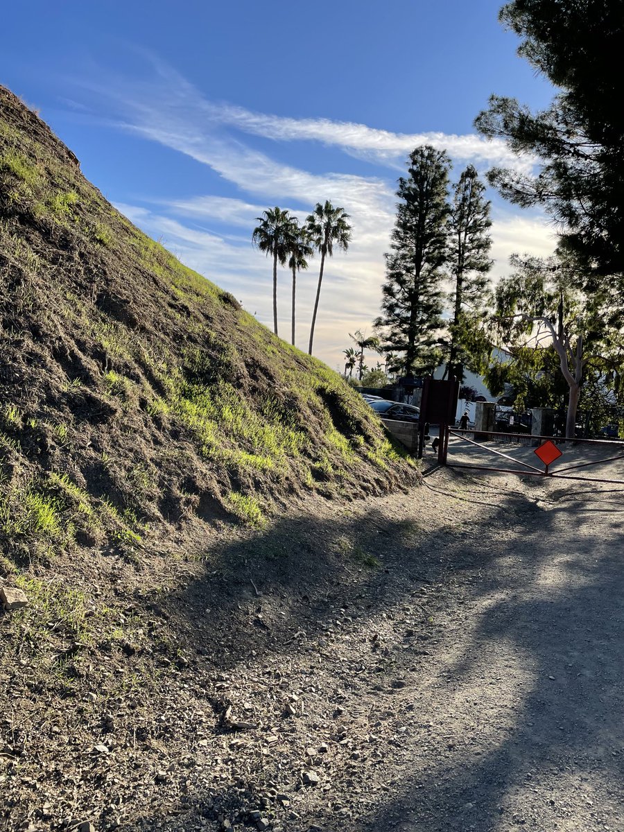 Rain two weeks ago today brought forth green grass on the hillside. A rare pleasure in SoCal.
