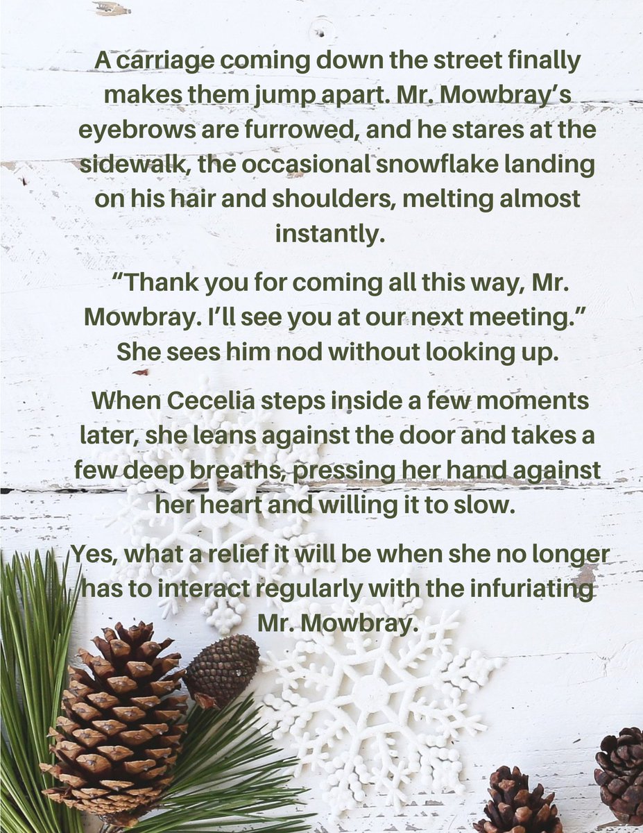 SloaneIngrid's tweet photo. Sneak peek of my upcoming romantic, Christmas novella 💚🤎💚🤎

#romance #christmas #indieauthors #sneakpeek https://t.co/i9esYV4MPL