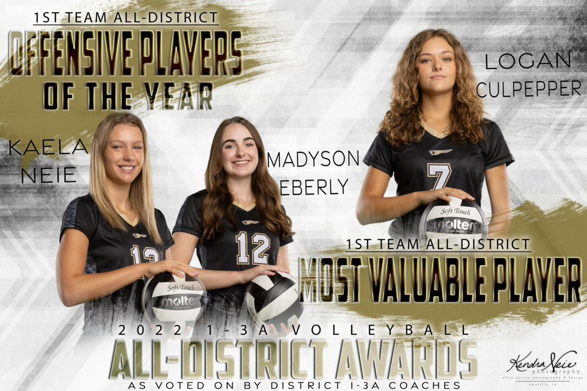 BushlandVolleyball tweet media