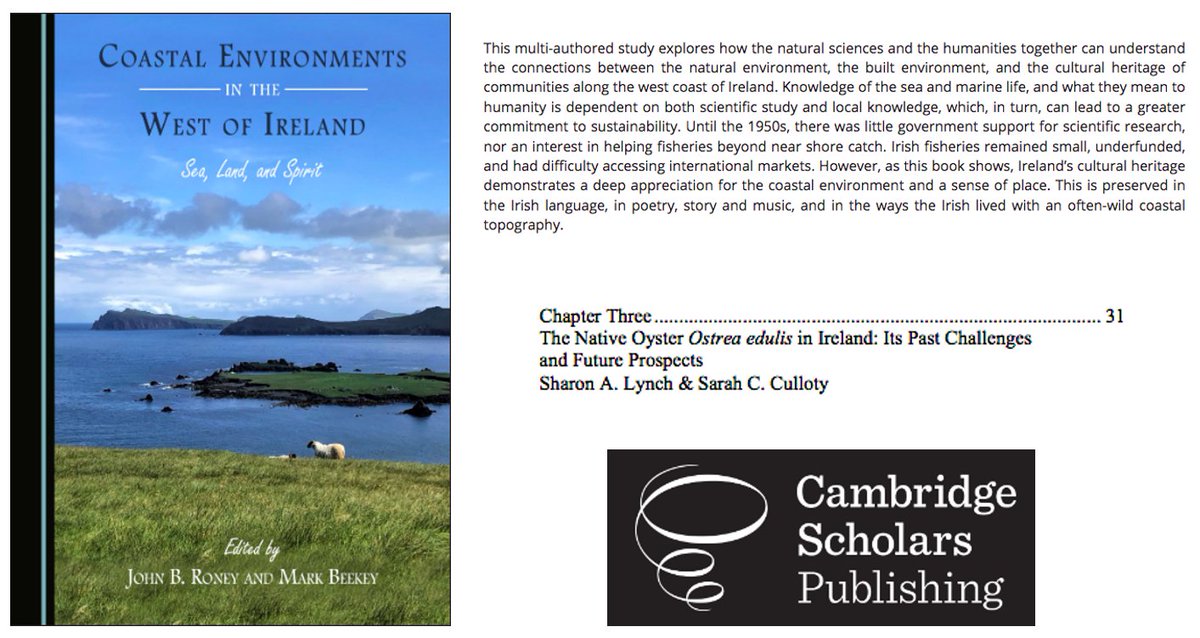 Proud to have contributed a chapter on the historical significance of our native #oyster and its future prospects to '#Coastal Environments in the #WestofIreland'  @sacredheartuniv @CullotyS @uccBEES @eriucc @MaREIcentre more information at
cambridgescholars.com/product/978-1-…