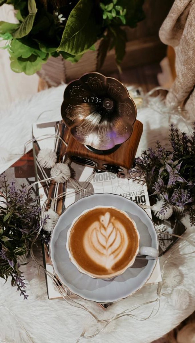 𝙼𝚒𝚉𝙰🤍📸".. tweet media