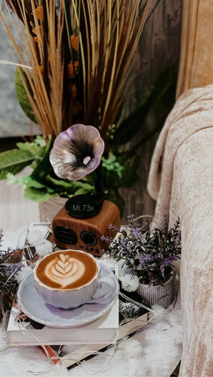 𝙼𝚒𝚉𝙰🤍📸".. tweet media