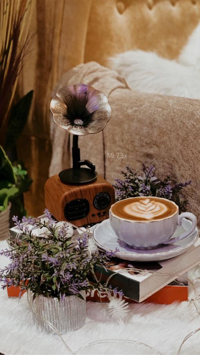 𝙼𝚒𝚉𝙰🤍📸".. tweet media