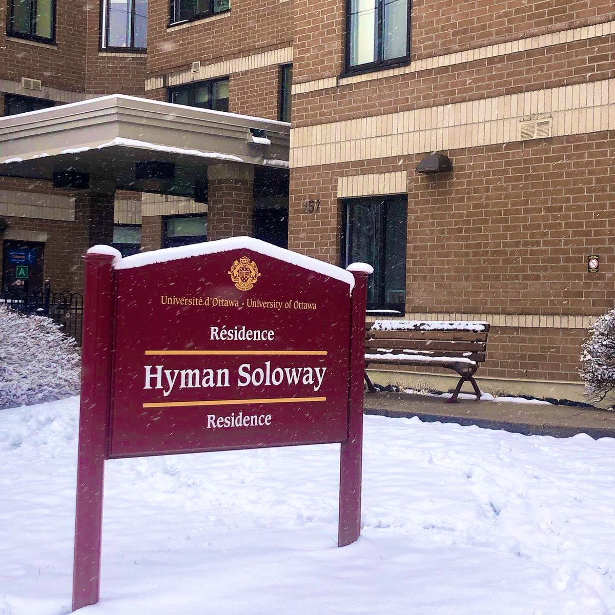 Dia dhaoibh, a chairde 👋 

Is mise Sinéad, an teagascóir Gaeilge anseo in Ollscoil Ottawa! Táim ag tnúth le bheith ag cabaireacht libh ar Twitter i rith na bliana!

Tá an sneachta linn anois in Ottawa agus deir na mic léinn liom nach é seo ach an tús! ❄️ ⛄️ #trasnanadtonnta