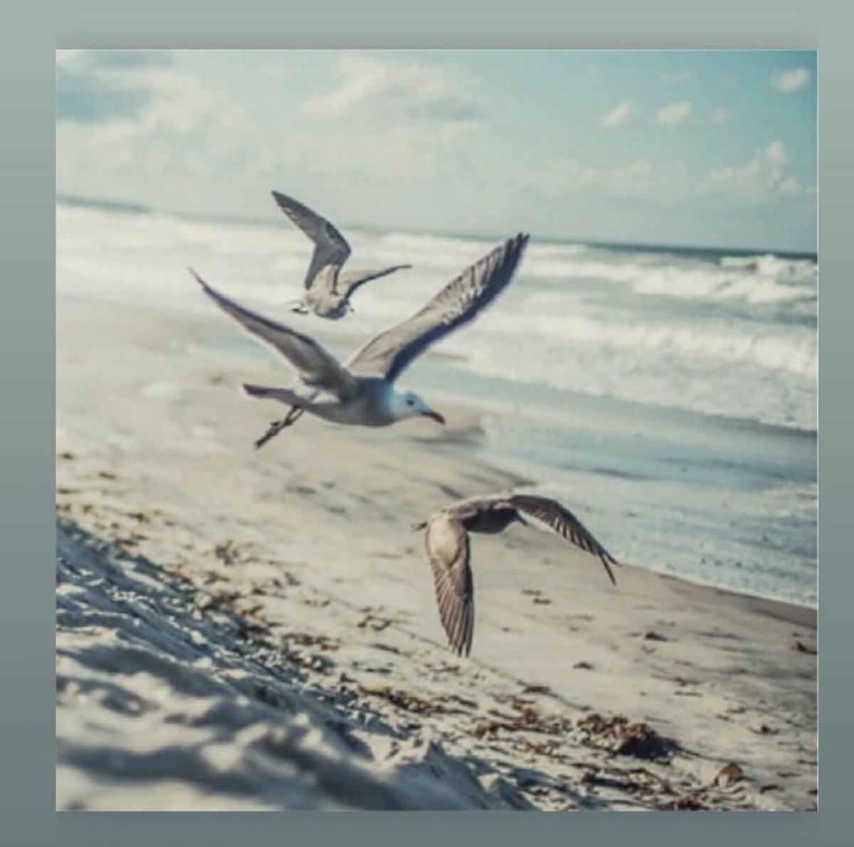 Sustainable Seafood Ireland ( SSI ) tweet media