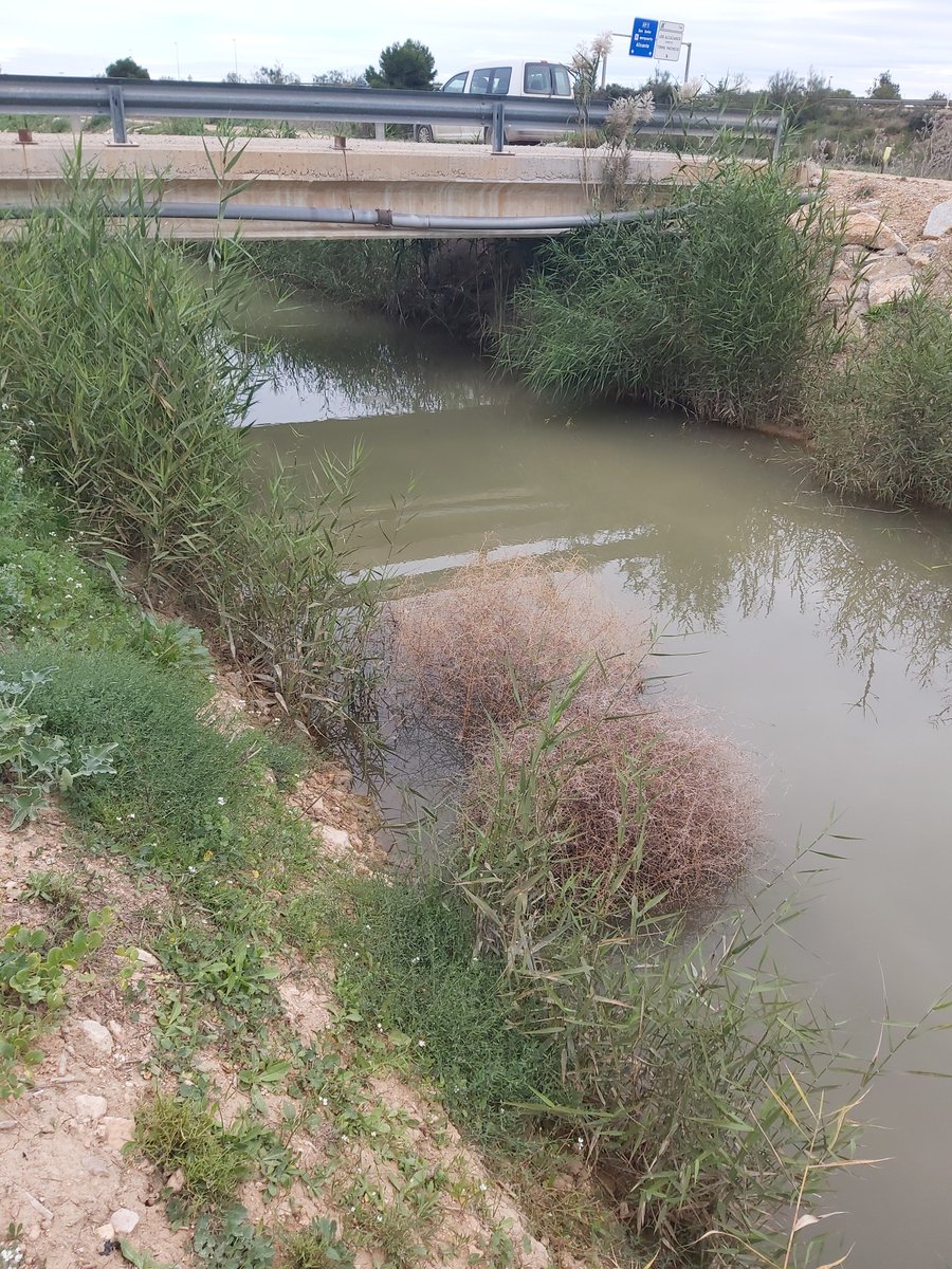 Región de Murcia, el lugar donde mejor se reutiliza el agua, por Dios que banda tenemos al frente. 
<a href="/chsriosegura/">Confederación Hidrográfica del Segura</a> 
<a href="/mitecogob/">Transición Ecológica y Reto Demográfico</a> 
<a href="/Fernandocvera/">FernandoVera</a> <a href="/agroIngMarMenor/">agroIngenieros Mar Menor</a>