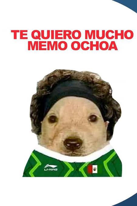 Drago 🐲 tweet media