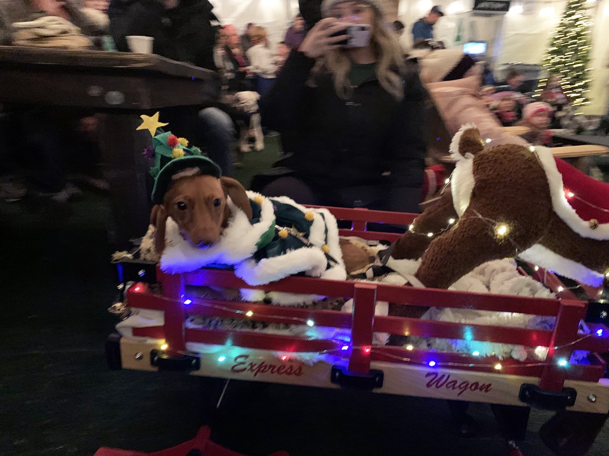 On Sunday December 4th Bring your furry friend all dressed up to #holidazzle at the Fulton Beer Garden and get your chance to win some fun pet prizes, or just come to see all the cute pets!