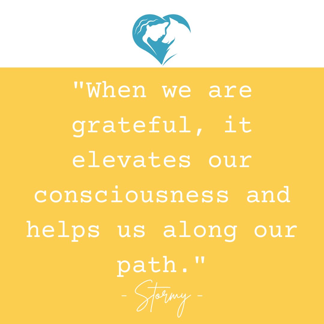 ThePetPsychic's tweet photo. 10% DISCOUNT ~ FEELING GRATEFUL FOR YOU! 💛  Love from The Pet Psychic ® - https://t.co/sOhcvdUGEW https://t.co/wvWyU42ju3