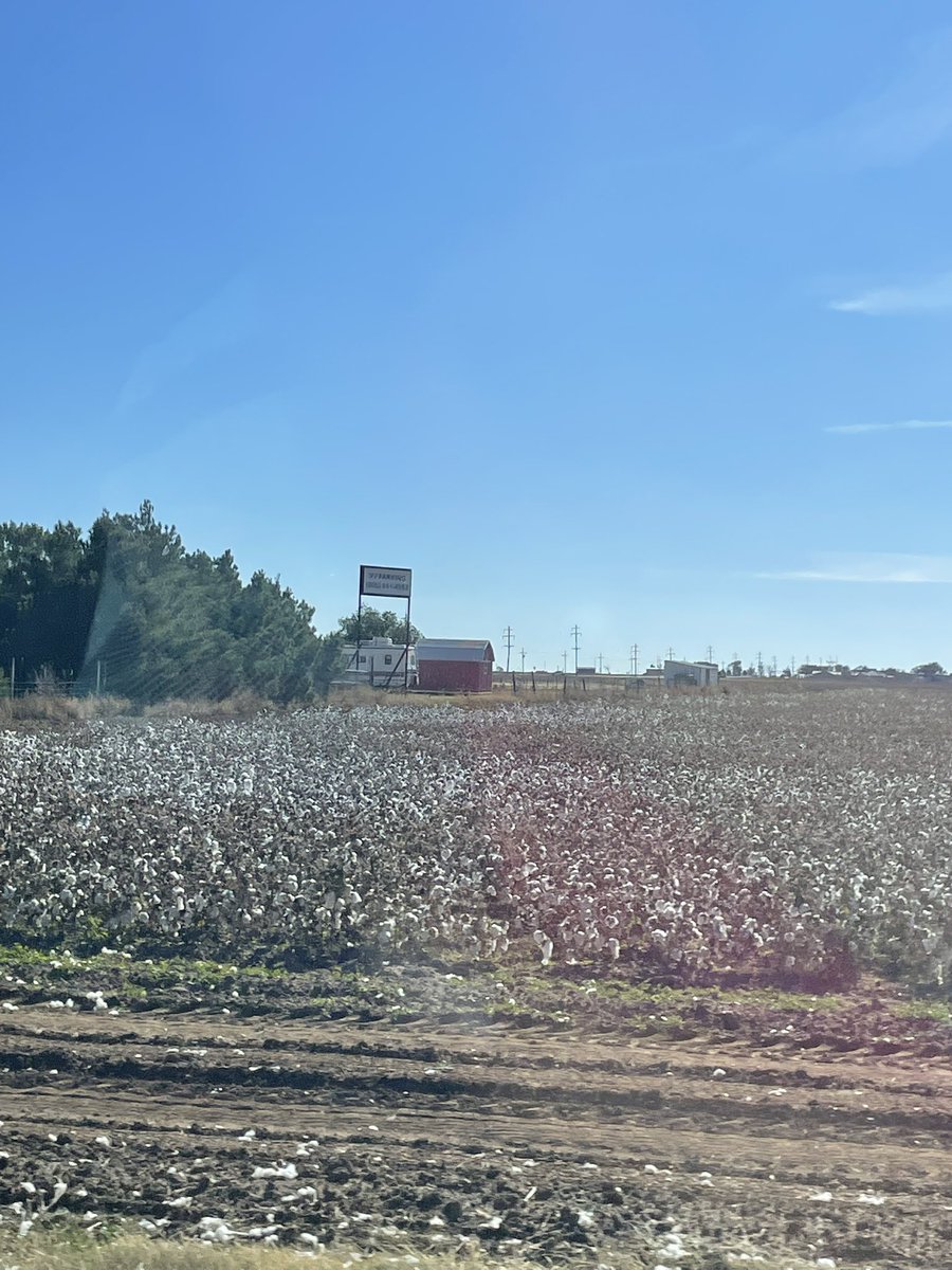 tegannfranco's tweet photo. #apushiseverywhere this cotton field reminds me of King Cotton. A political effect of this was that it raised sectional tensions, because the “need” for slaves rose in the south as the demand for cotton rose https://t.co/Hx5EPfrQJc