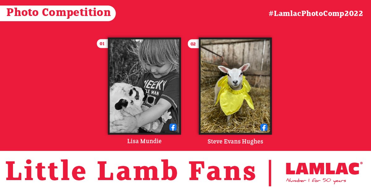 Lamlac tweet media