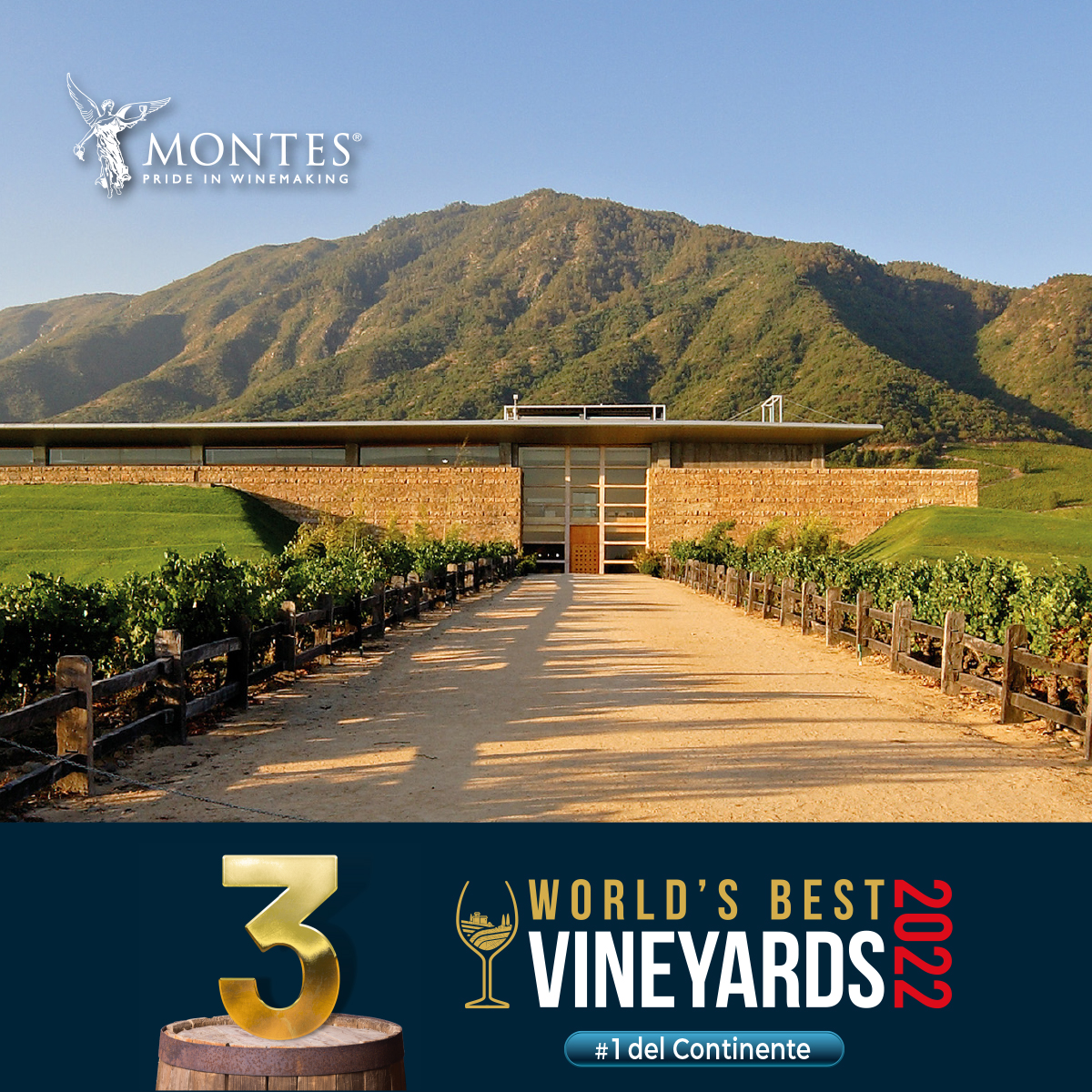 ¡Somos la 3ra mejor Viña del Mundo y la 1ra del continente 2022!
Por cuarta vez consecutiva, hemos sido elegidos dentro de las mejores Viñas del mundo por @wbestvineyards. Gracias al trabajo de todo nuestro equipo y a ustedes por elegirnos.
monteswines.com/news/wolrds-be…