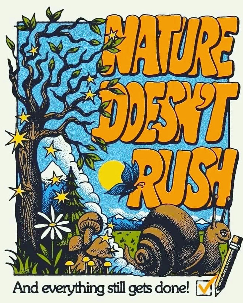 An Darach Forest Therapy (@andarachft) on Twitter photo 