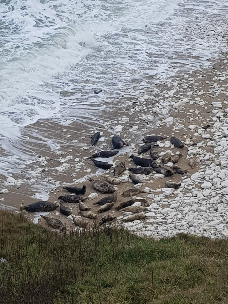 Alistair Boxall tweet media