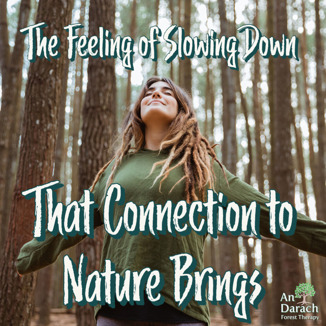 #NatureConnection #AnDarach