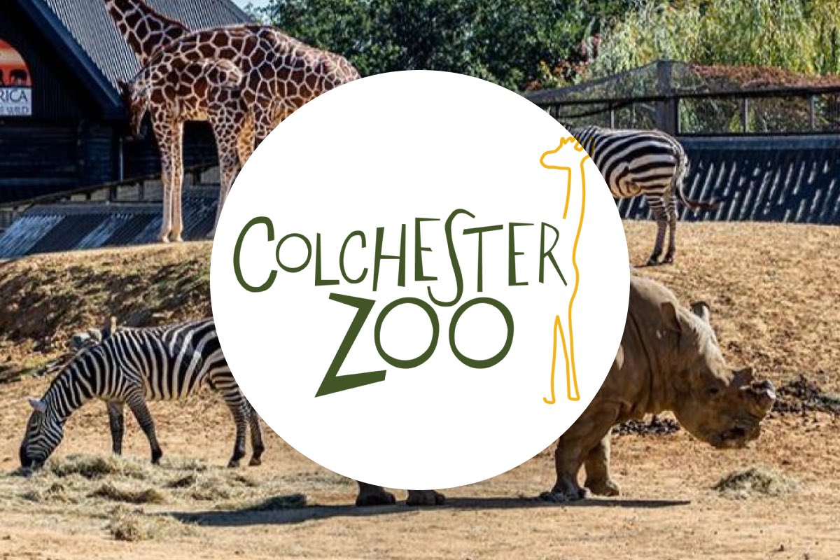 D_C_Hopkinson's tweet photo. Zoo trips are a highlight of leading #zoo modules at @WrittleOfficial.
@ColchesterZoo last month, @ParadiseWLPark today…and more to come!
All part of the #AnimalManagement and #AnimalScience courses’ amazing Zoo and Wildlife Conservation pathway!
🦏🦧🐅🐊🌍
#onlyatwrittle https://t.co/nRDuD3Yt9M