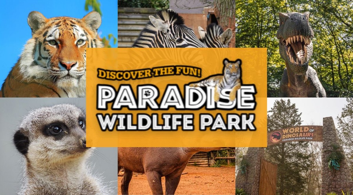 D_C_Hopkinson's tweet photo. Zoo trips are a highlight of leading #zoo modules at @WrittleOfficial.
@ColchesterZoo last month, @ParadiseWLPark today…and more to come!
All part of the #AnimalManagement and #AnimalScience courses’ amazing Zoo and Wildlife Conservation pathway!
🦏🦧🐅🐊🌍
#onlyatwrittle https://t.co/nRDuD3Yt9M