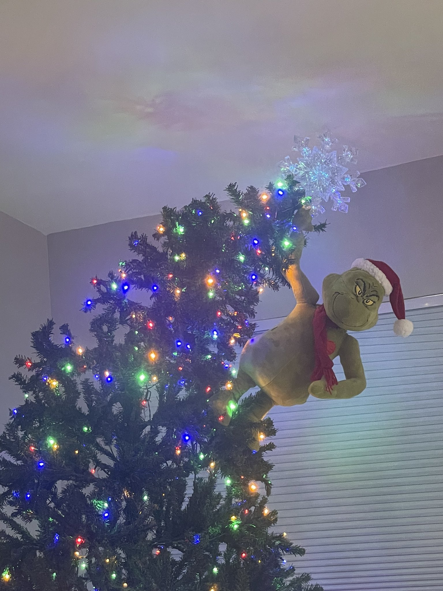 When you let your brother buy your next Christmas tree, because you don’t have a Costco membership and he does, and he buys one too big cause it was on sale, and now you have to find a creative way to fit it in the house……. https://t.co/dgBu0irGzZ