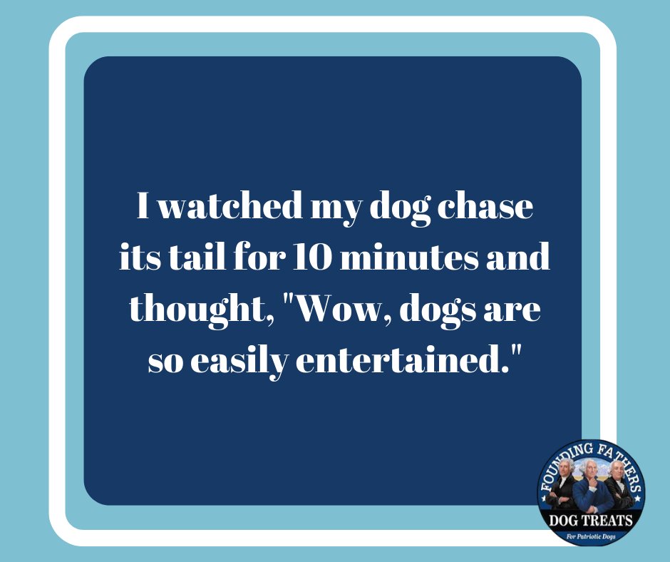FF_Pets's tweet photo. We can't be the only ones! 😂😂 https://t.co/7Y1Np1gXLD
