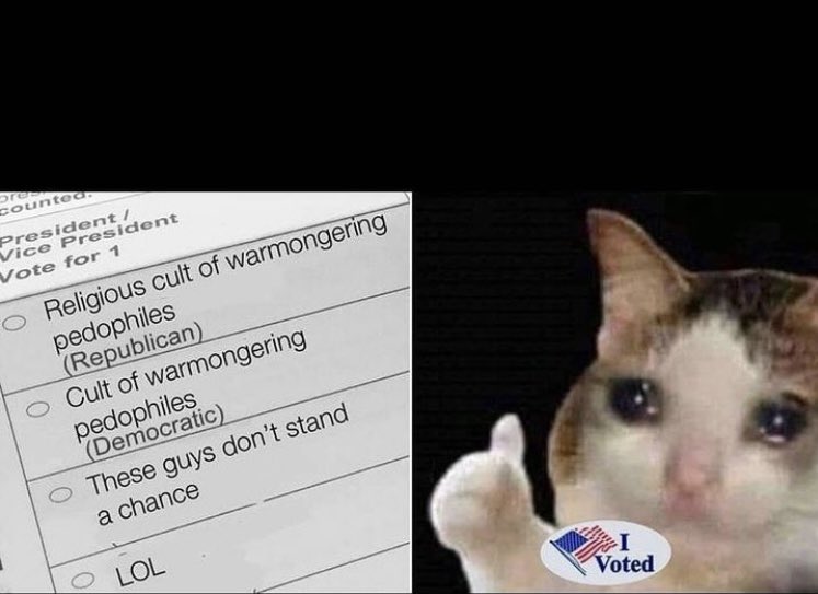 Tricia Stuart-Mann (@triciarchy) on Twitter photo 