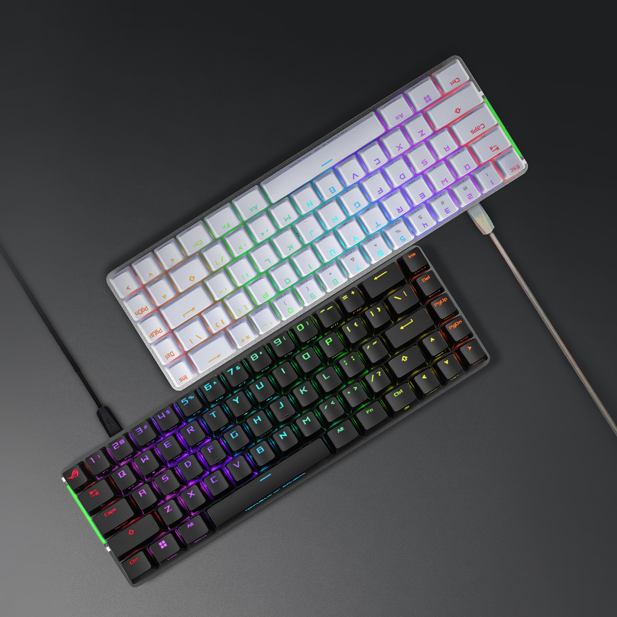 ASUS_za's tweet photo. Want to get to know this beauty a little bit more?
Which one would you pick? ROG Falchion Ace ⬜⌨⬛▶️ https://t.co/HVSJgSfm1D
#ROGPeripherals #ROGGamingKeyboard
#MiniGamingKeyboard #WhiteGamingKeyboard https://t.co/i5FPxd1Yyy