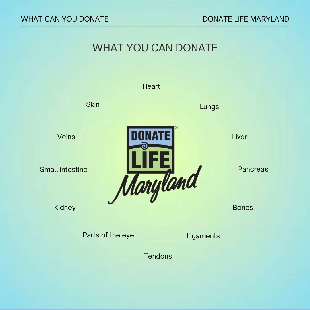 DonateLifeMD's tweet photo. #BeADonor and register now at https://t.co/FHukmzcZsY 💙 💚 https://t.co/wpCKnat9gA