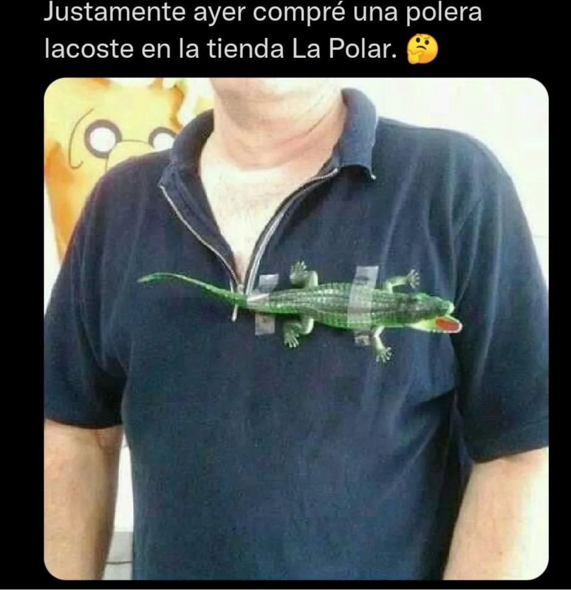 jimenaorrego's tweet photo. 🤭🤭🤭🤭🤭 https://t.co/kRES7aMdz2
