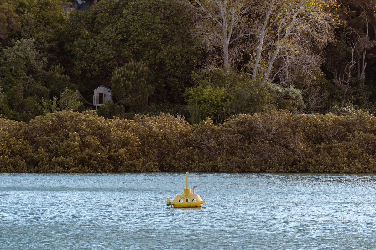 JMCPhotography4's tweet photo. ‘Yellow submarine’ #photography #PhotoOfTheDay #photo #photographer #photography #photographylovers #city #Auckland #Sony #SonyAlpha #camera #Traveler #traveling #NewZealand #landscapephotography #NaturePhotograhpy #oddthings #yellow #water https://t.co/Y43pX6WHH8