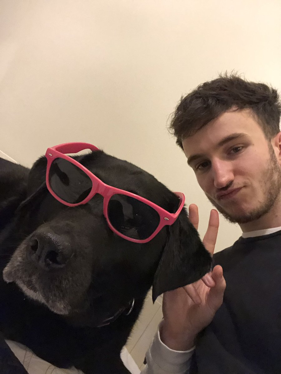 Sam Day tweet media
