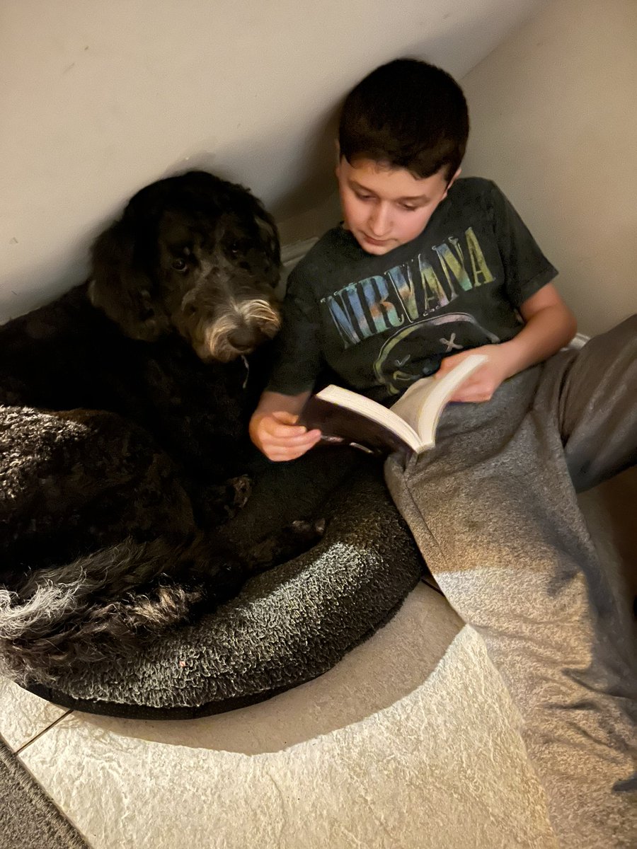 W33JAX's tweet photo. Someone’s in the dog house reading their book tonight 😂 @AitkenheadS #BookWeekScotland @scottishbktrust #Aitkenheadreads https://t.co/nQ2yxxna2S