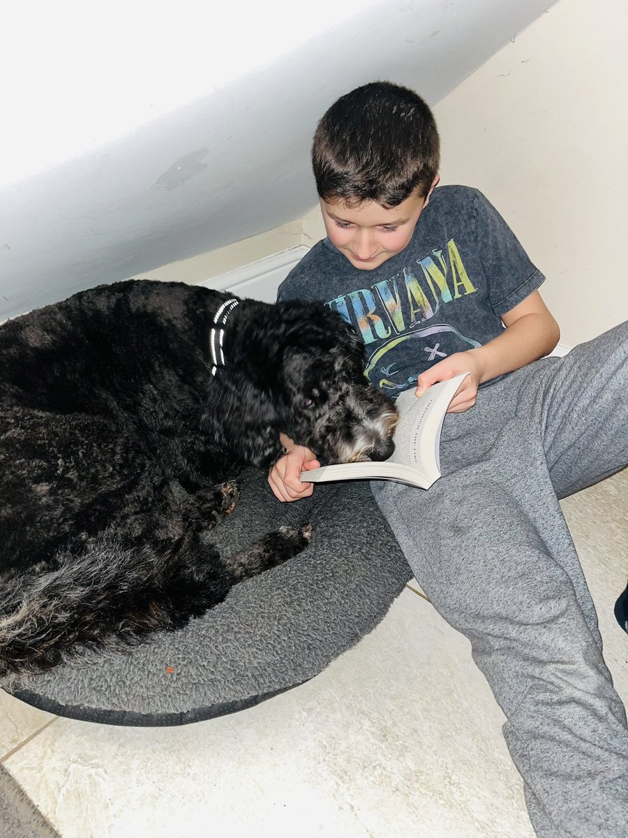 W33JAX's tweet photo. Someone’s in the dog house reading their book tonight 😂 @AitkenheadS #BookWeekScotland @scottishbktrust #Aitkenheadreads https://t.co/nQ2yxxna2S